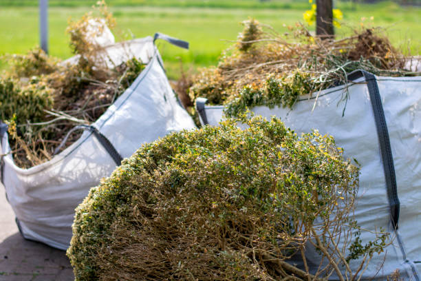 Best Household Junk Removal  in Princess Anne, MD