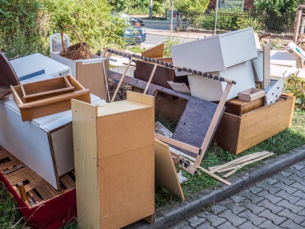 Best Office Junk Removal  in Princess Anne, MD